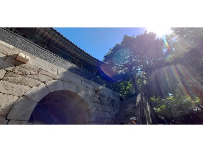 최다은 - 숙정문의 빛